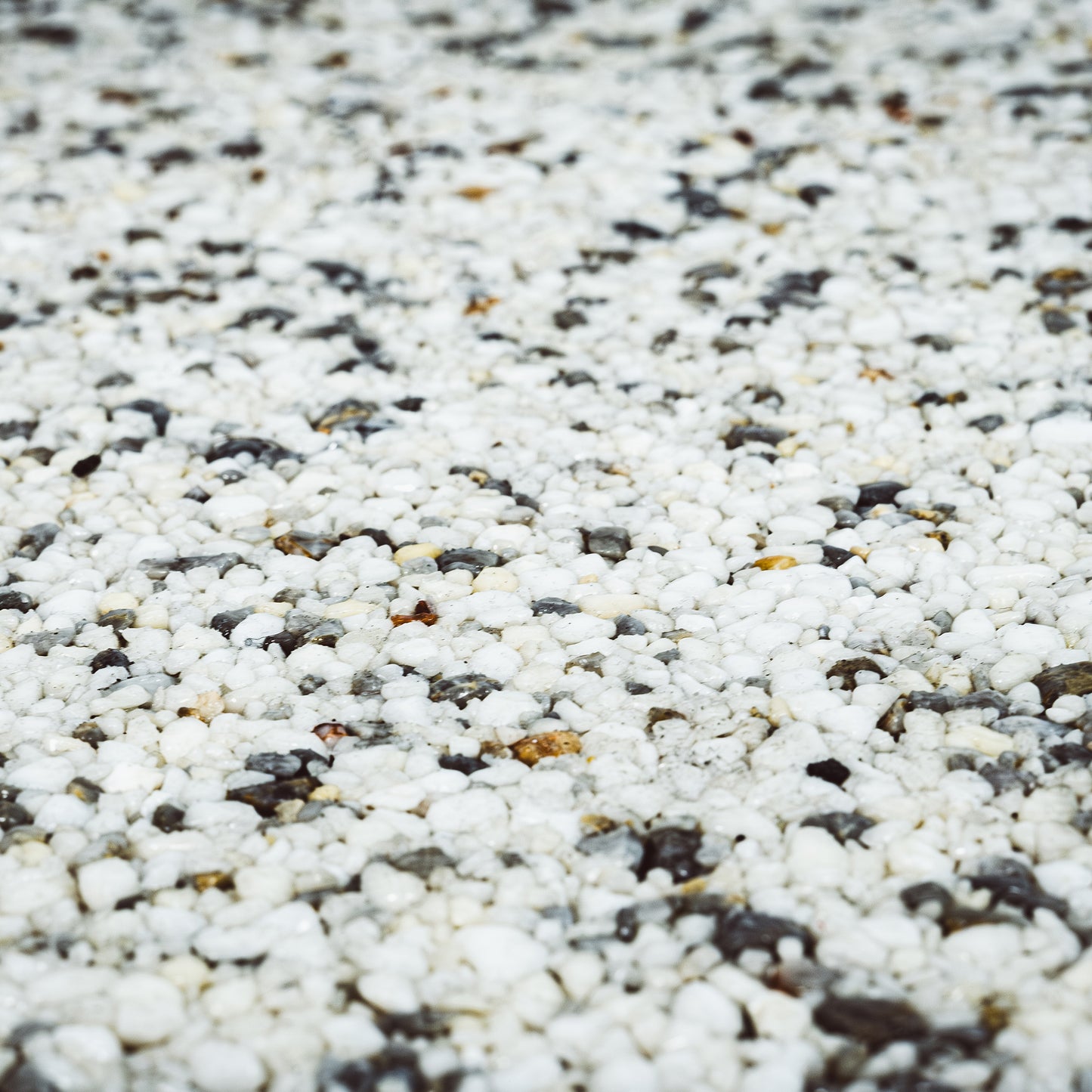 Floor Resurfacer DIY Bucket White